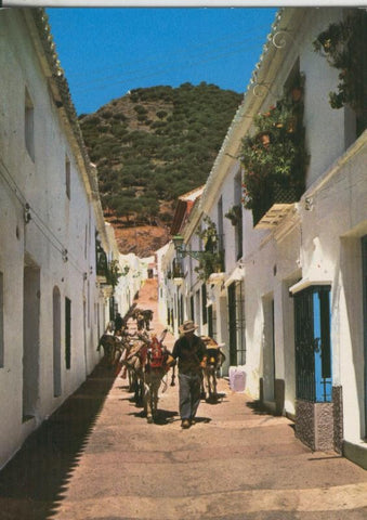 Postal 009948: Burritos tipicos de Mijas en Malaga