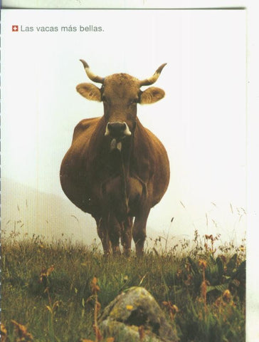 Postal 005644 : Propaganda de Suiza: las vacas mas bellas