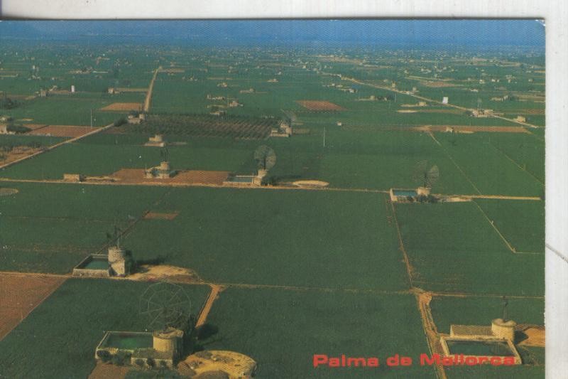 Postal 006032 : Molinos en Mallorca