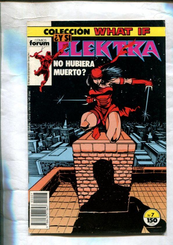 What If volumen 1 numero 07: Daredevil y Elektra