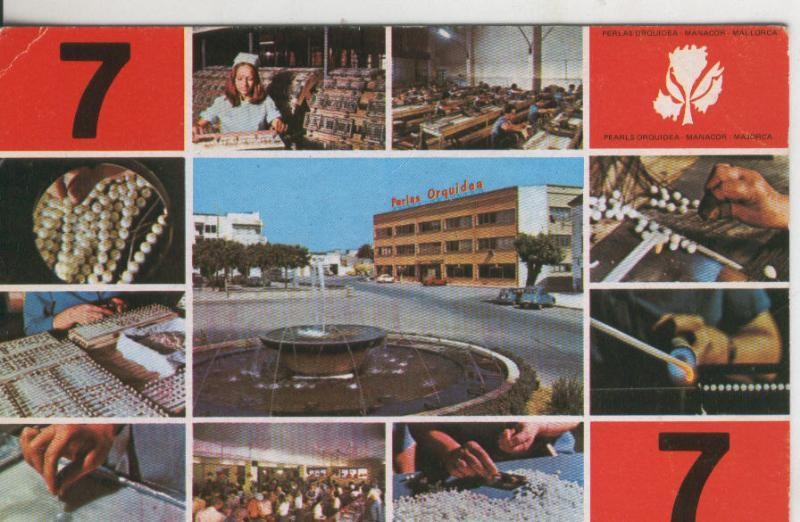 Postal 009463: Perlas Orquideas, Manacor en Mallorca