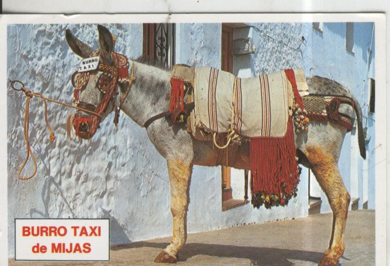 Postal 010415: Burro taxi de Mijas en Malaga