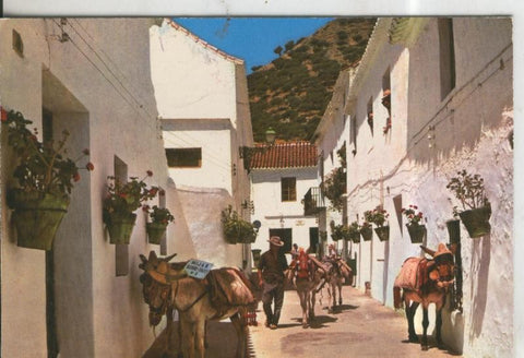 Postal 010419: Parada de Burro Taxi de Mijas en Malaga