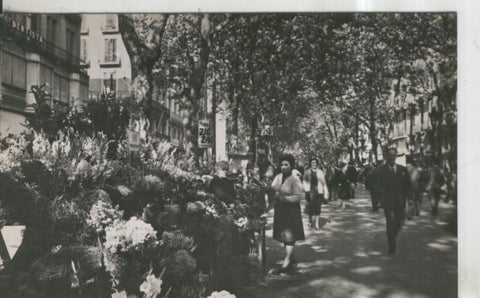 Postal 010495: Ramblas de Barcelona