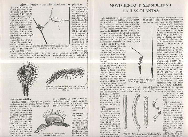 Movimiento y sensibilidad en las plantas