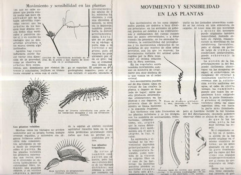 Movimiento y sensibilidad en las plantas