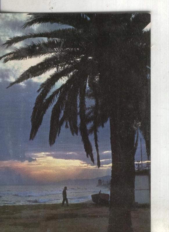 Postal 003642:  Barcelona: Premia de Mar: contraluz en la playa
