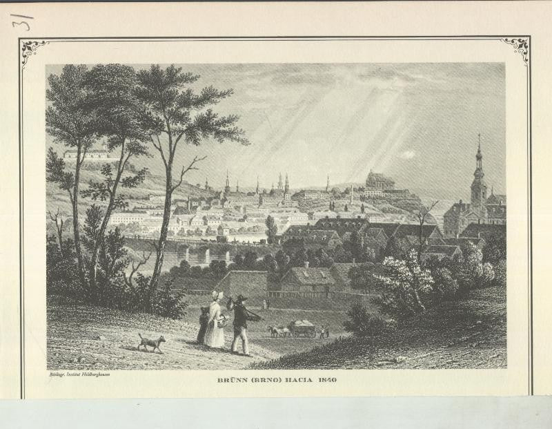 Lamina 31: Brunn (Brno) hacia 1840