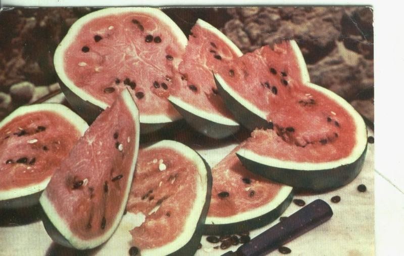 Postal 003831: España: Sandias