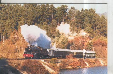 Postal 010977: Tren especial Galaico Express en Barra do Miño en 2001