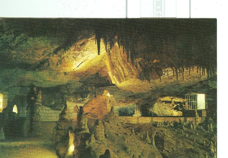 Postal 006340 : Cueva del Drach, Mallorca: vestibulo