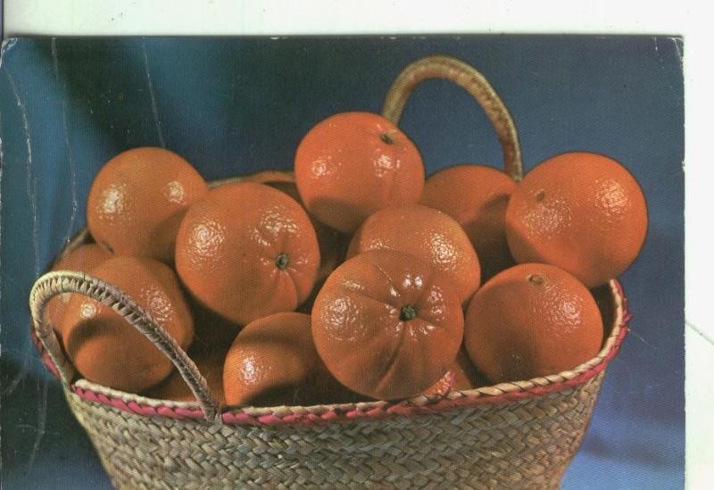 Postal 004402 : Valencia: Naranjas