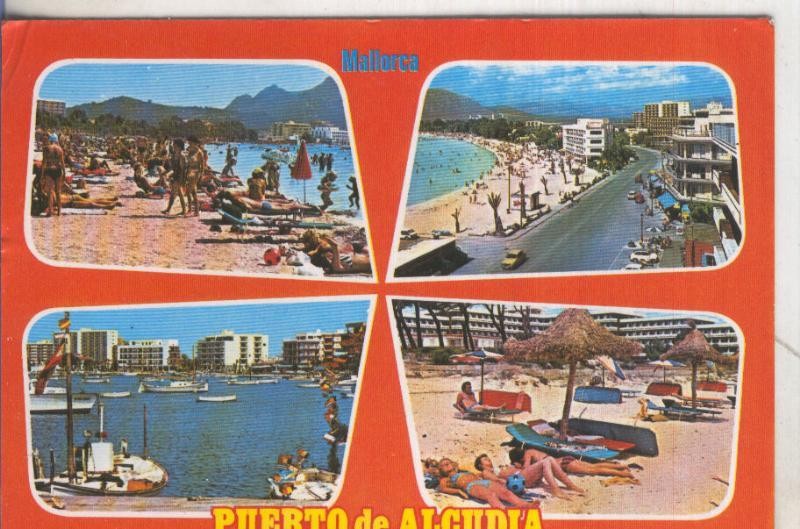 Postal 005120 : Vistas de Puerto de Alcudia en Mallorca