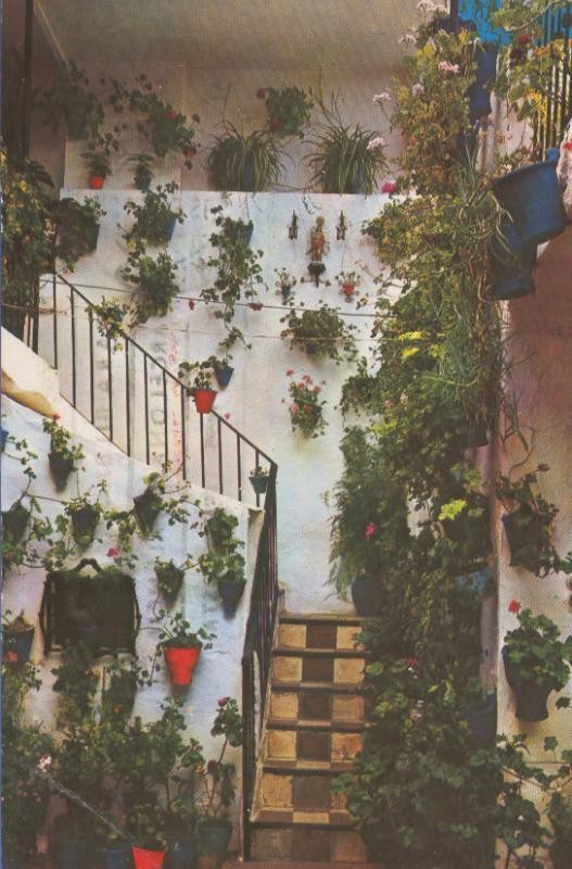 Postal 005005 : Patio andaluz