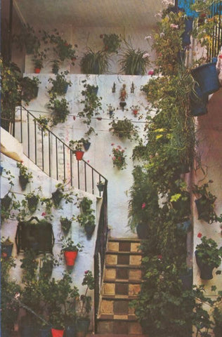 Postal 005005 : Patio andaluz