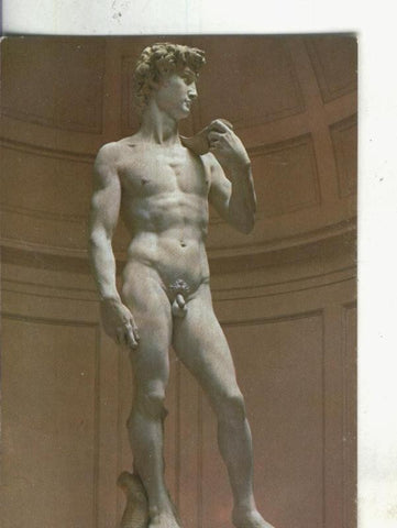 Postal 004035 : Italia: Firenze: David de Michelangelo