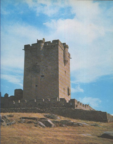 Castillo de San Felices de los Gallegos (Salamanca)