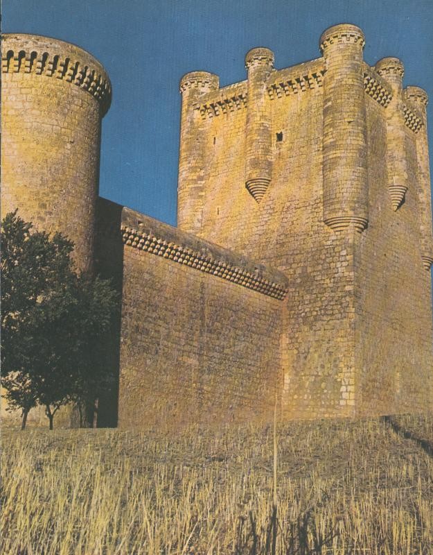 Castillo de Torrelobaton (Valladolid)