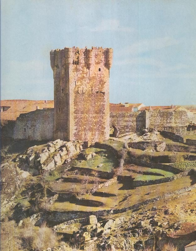Castillo de Monleon ((Salamanca)