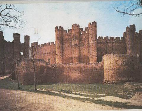 Castillo de Valencia de Don Juan (Leon)
