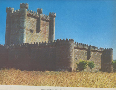 Castillo de Fuensaldaña (Valladolid)