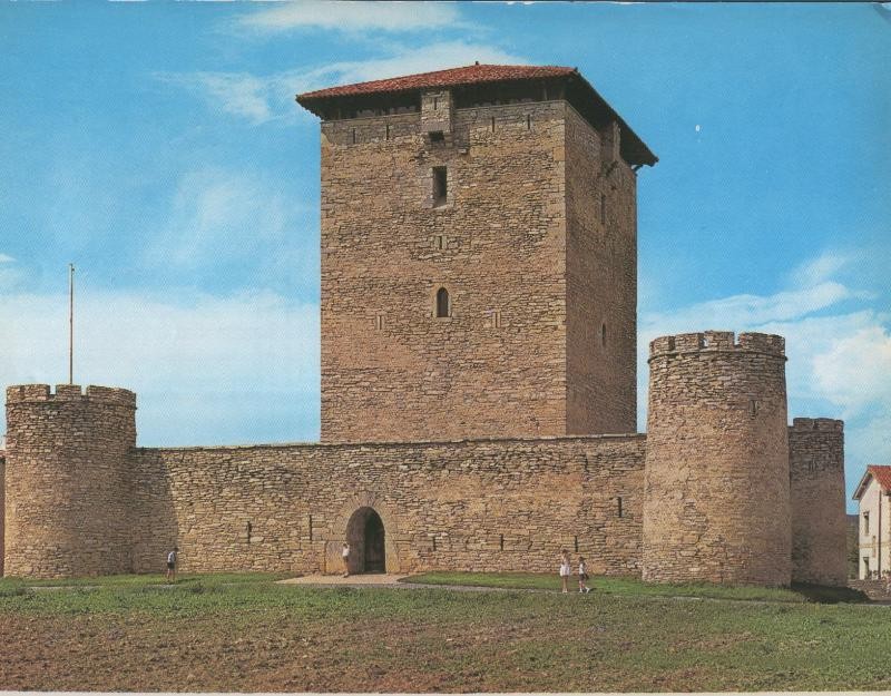 Castillo Torre de Mendoza (Alava)