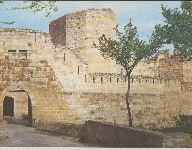 Castillo de Zamora