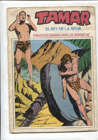Tamar formato vertical numero 08: El enigma de la hechicera