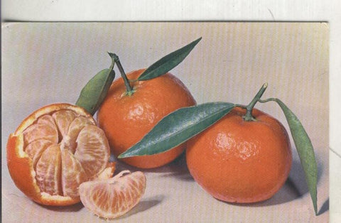 Postal 003780: Fruta: Clementina