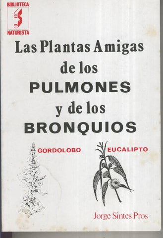 Las plantas amigas de los pulmones y de los bronquios