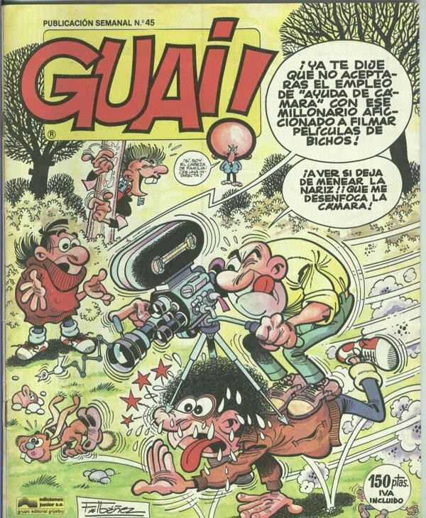 Guai numero 045