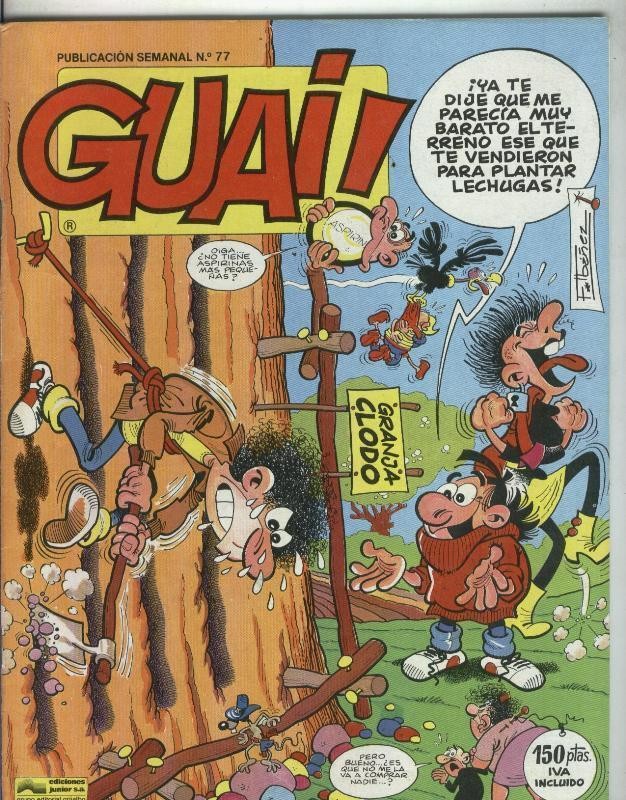 Guai numero 077