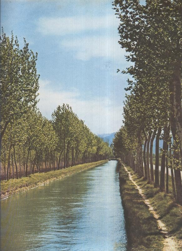 Album Grafico de España lamina 52: Delta del Ebro, Tarragona