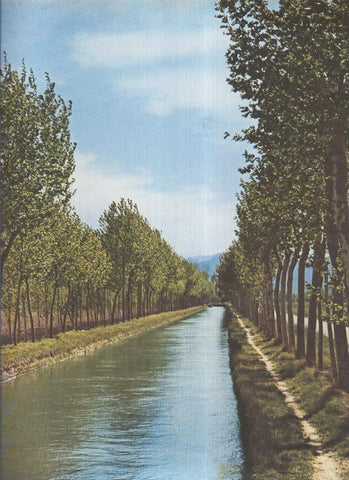 Album Grafico de España lamina 52: Delta del Ebro, Tarragona