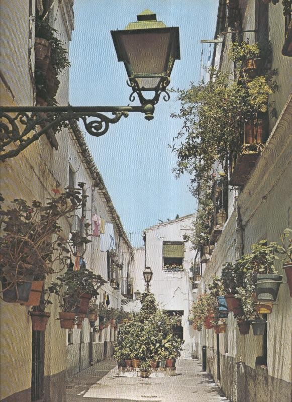 Album Grafico de España lamina 64: Calle tipica de Malaga