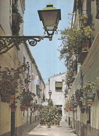Album Grafico de España lamina 64: Calle tipica de Malaga