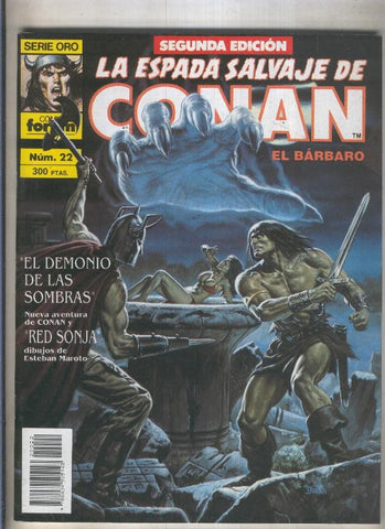 La Espada Salvaje de Conan volumen 1 segunda edicion numero 022