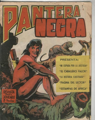 Pantera Negra revista