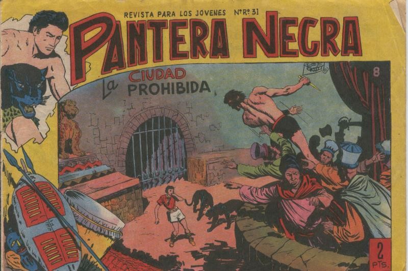 Pantera Negra numero 08: la ciudad prohibida