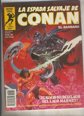 La espada salvaje de conan volumen 1 numero 030