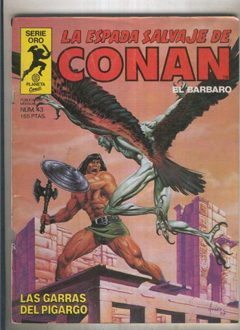La espada salvaje de conan volumen 1 numero 043