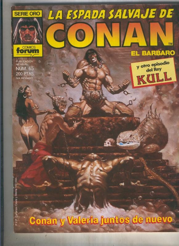 La espada salvaje de conan volumen 1 numero 065