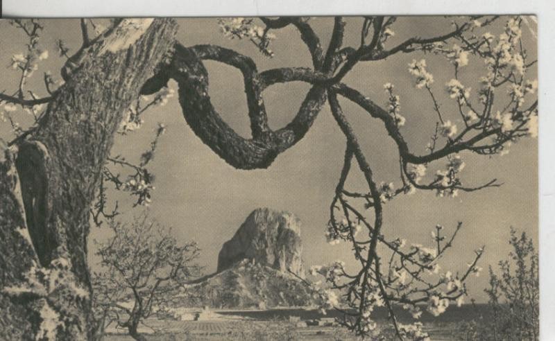 Postal 008907: Peñon de Ifach en Calpe