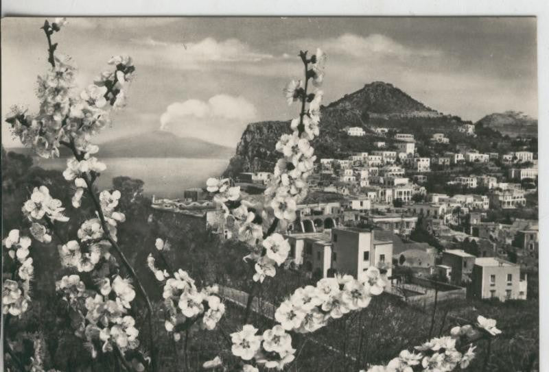 Postal 008892: Capri