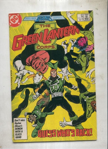 The green lantern corps 207