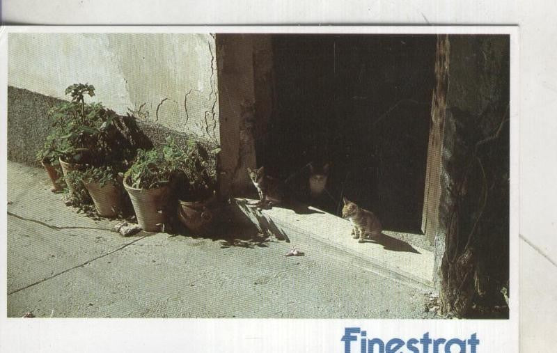 Postal 003929 : Finestrat