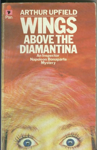 Wings above the Diamantina