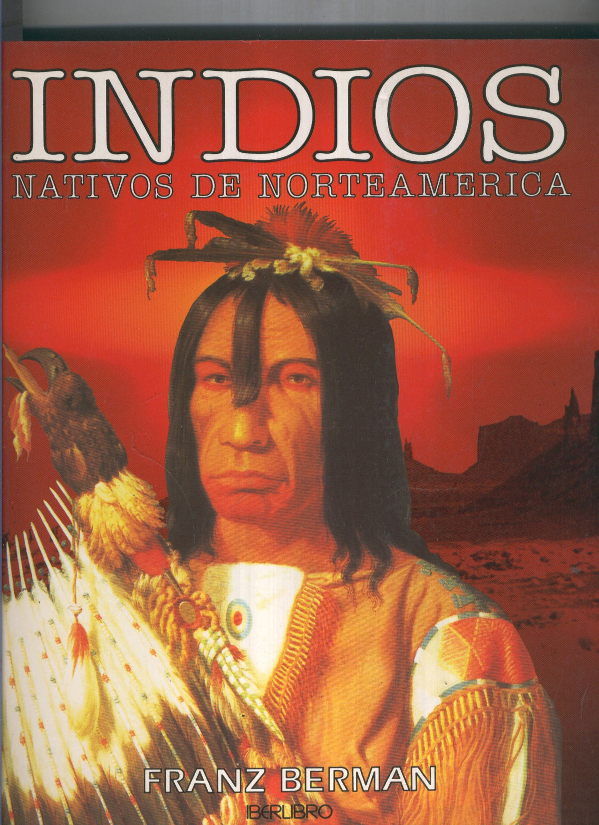 INDIOS NATIVOS DE NORTEAMERICA