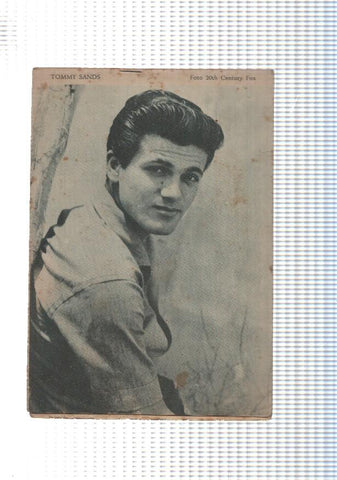 Mary Noticias numero 019: trasera foto artista Tommy Sands
