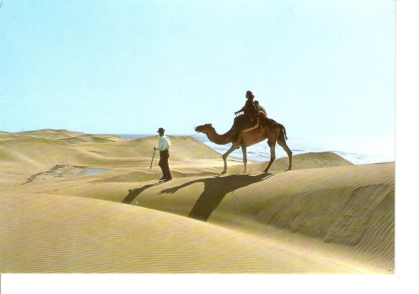 Postal 034241 : Gran Canaria. Maspalomas playa